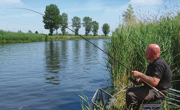 Canals in Holland are very scenic and full of coarse fish/